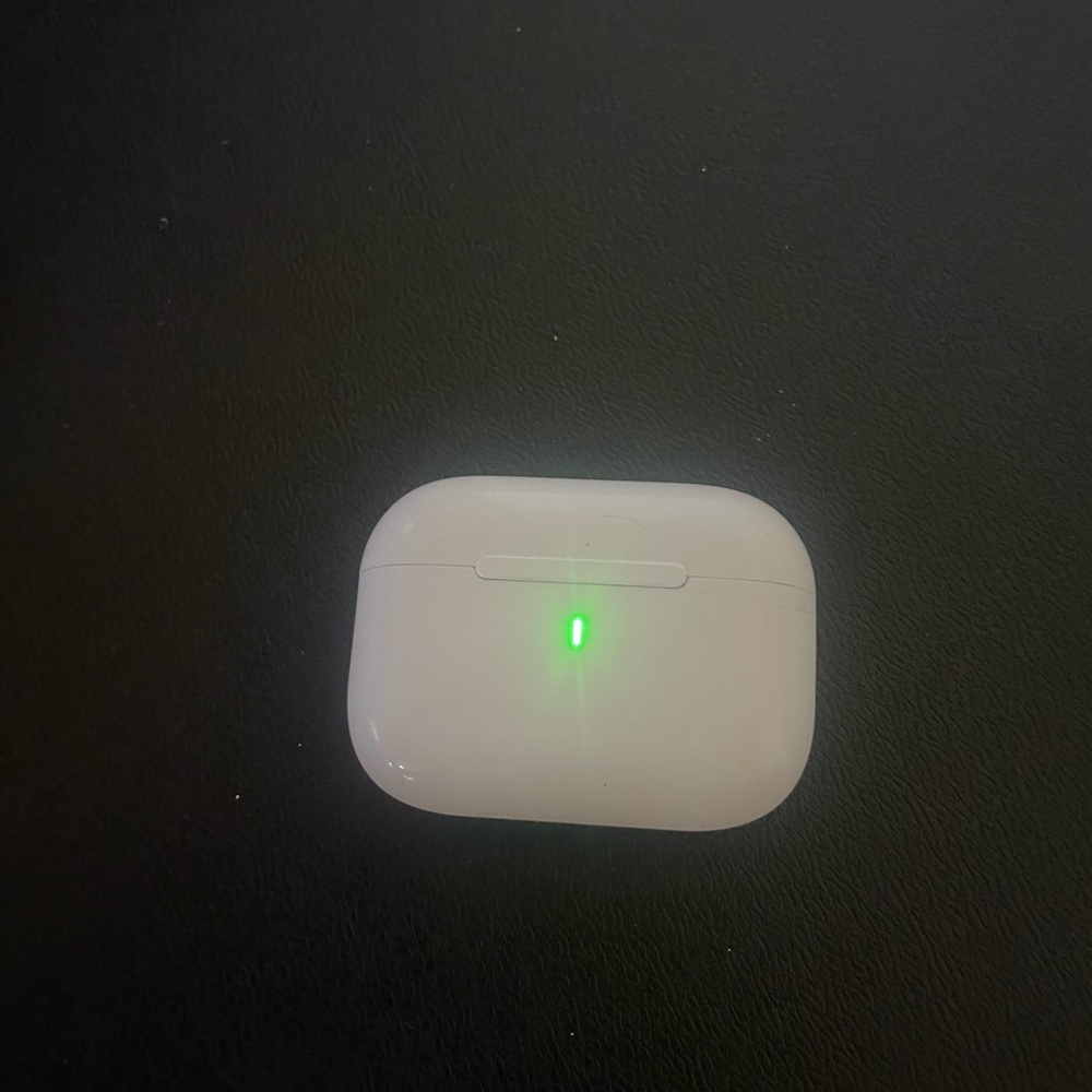 Apple White Earbud Headphones